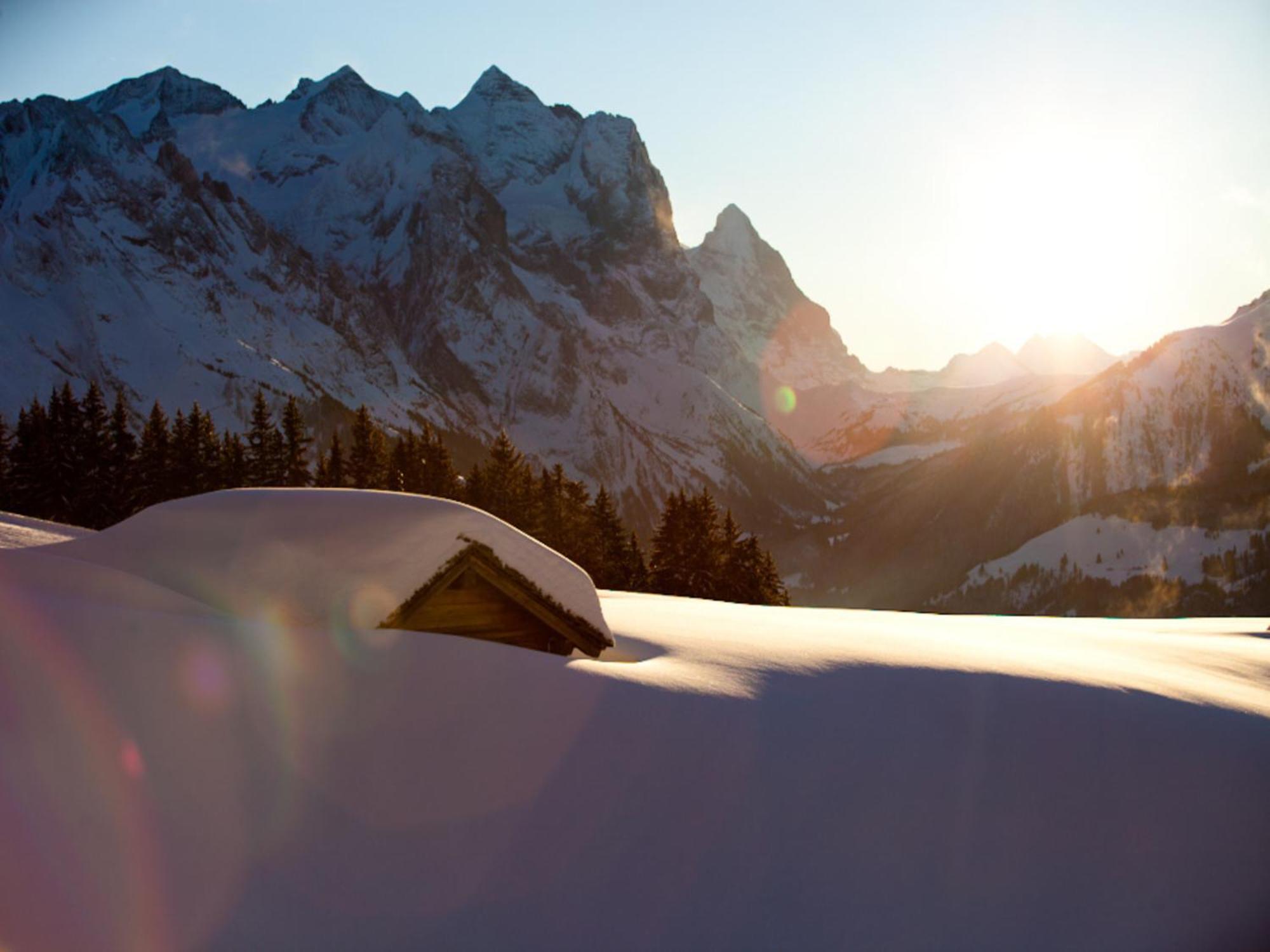 Victoria - Alpine Boutique Hotel & Fine Dining Meiringen Exterior foto