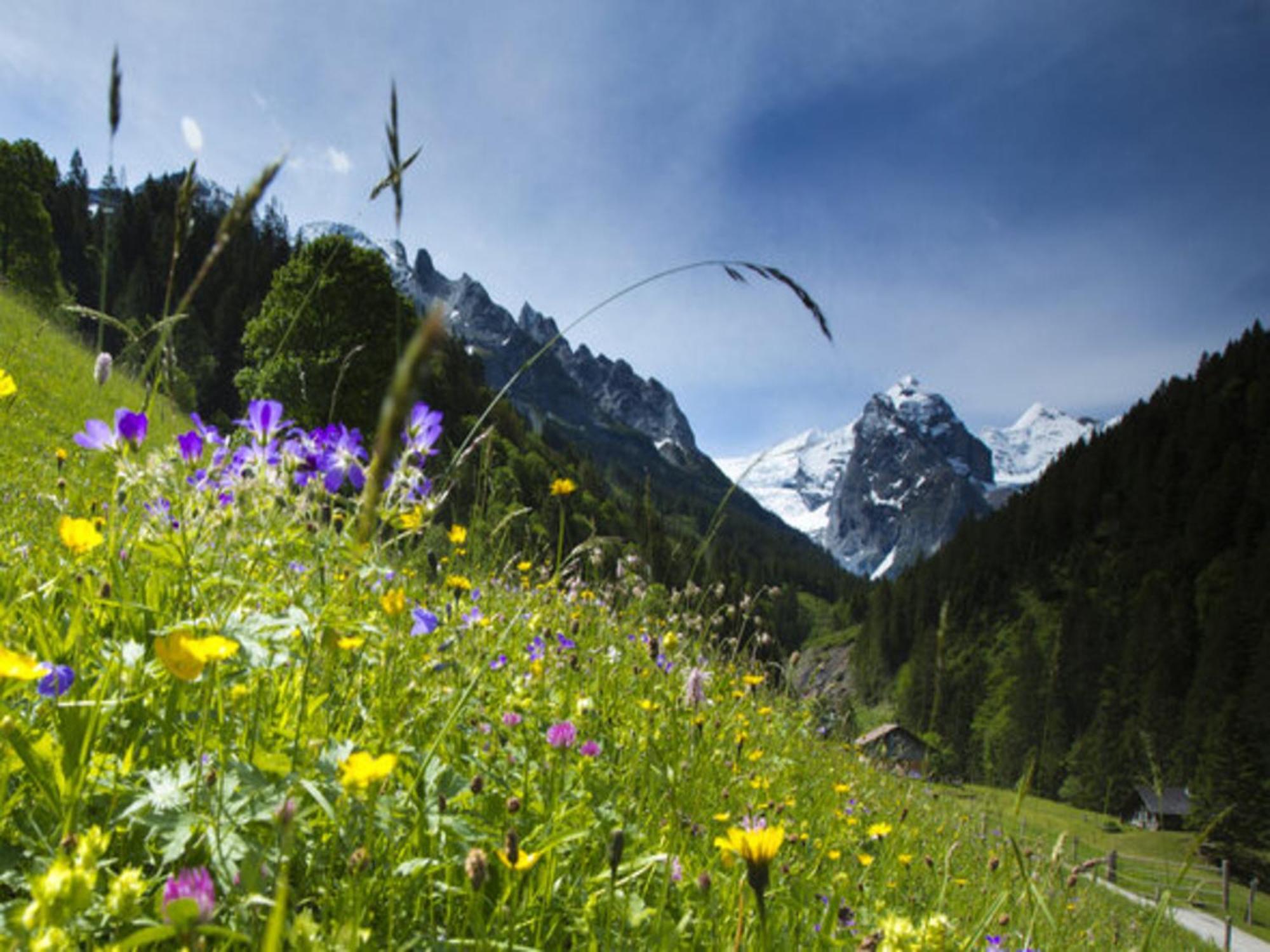 Victoria - Alpine Boutique Hotel & Fine Dining Meiringen Exterior foto