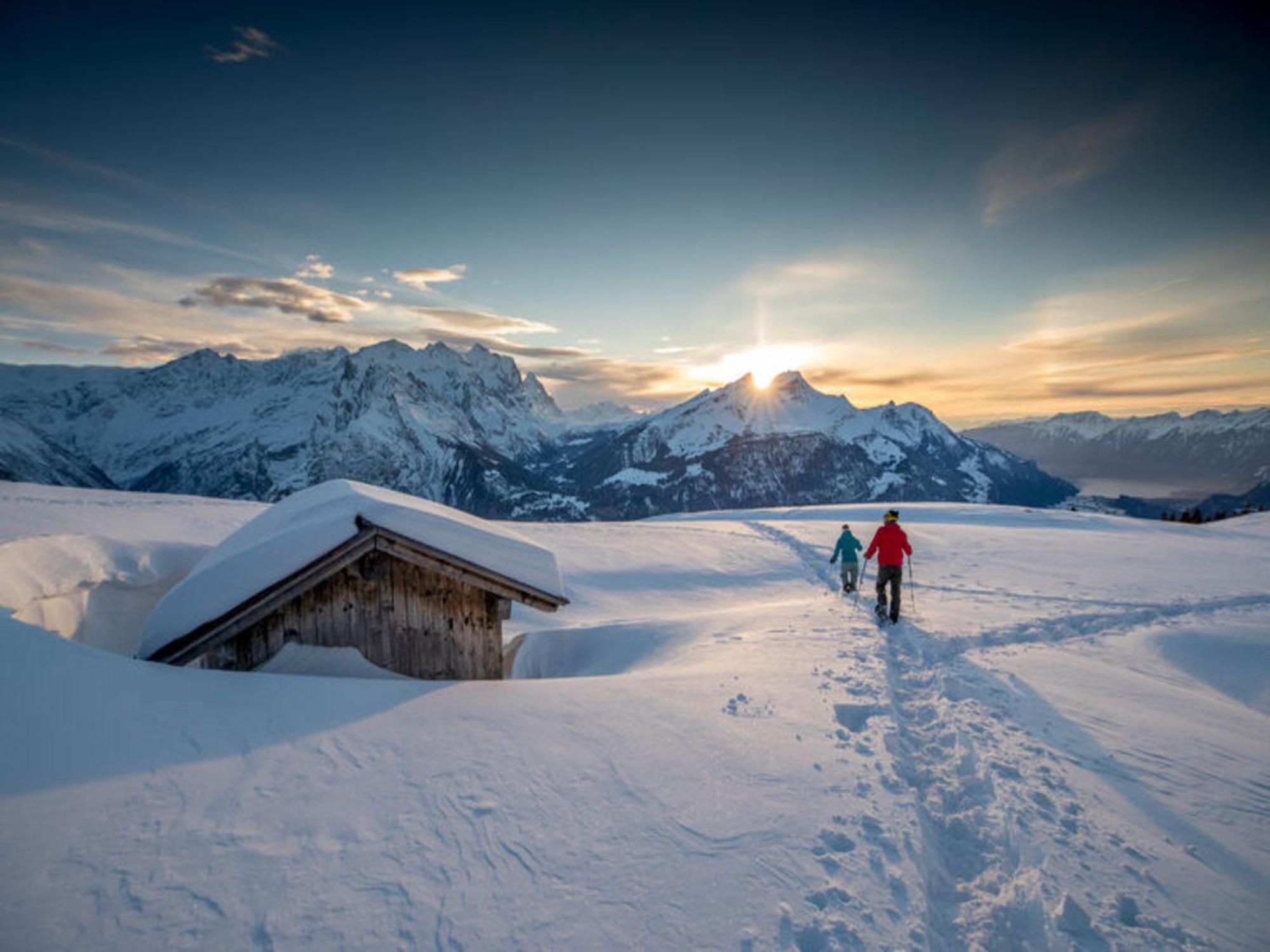 Victoria - Alpine Boutique Hotel & Fine Dining Meiringen Exterior foto