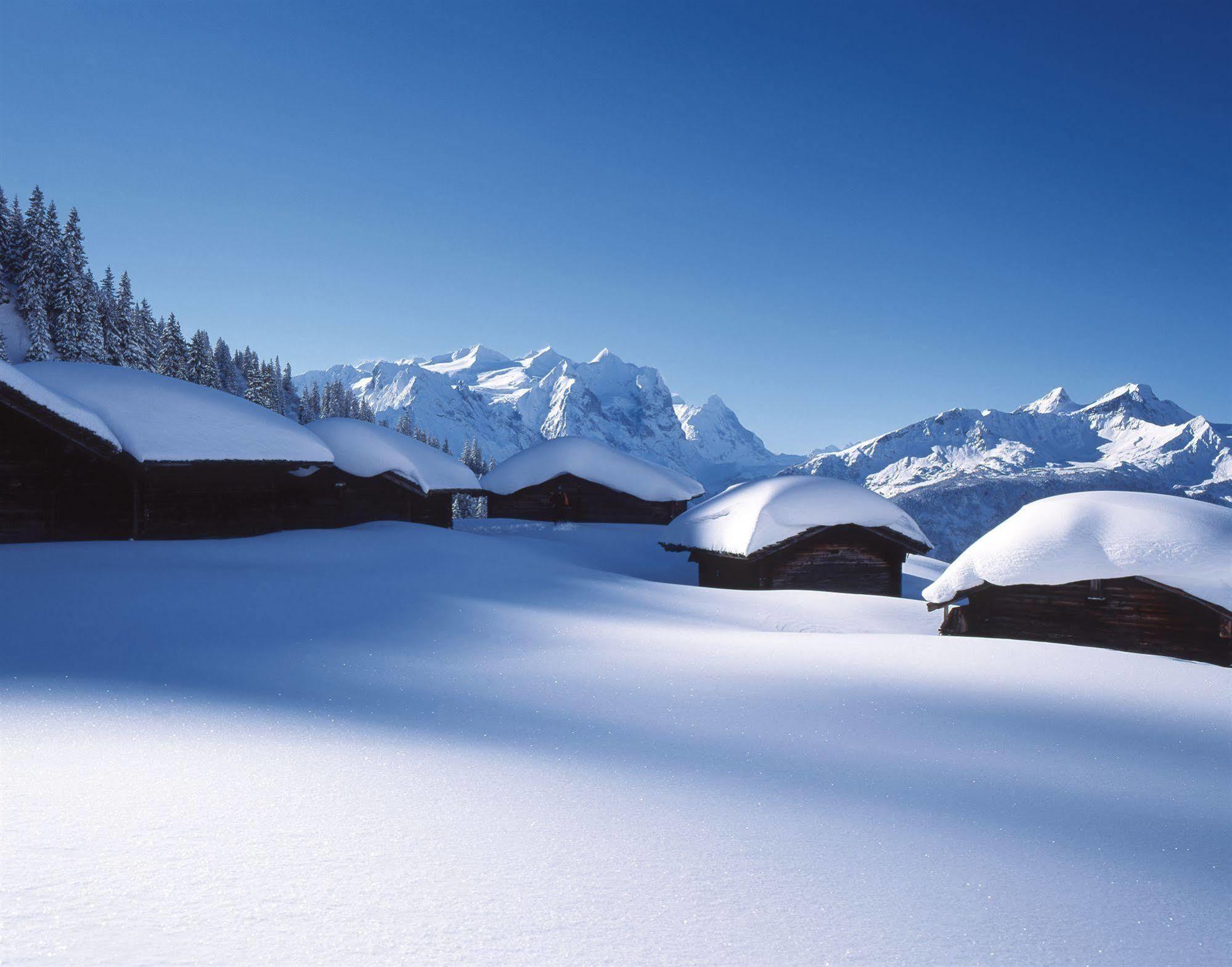 Victoria - Alpine Boutique Hotel & Fine Dining Meiringen Exterior foto